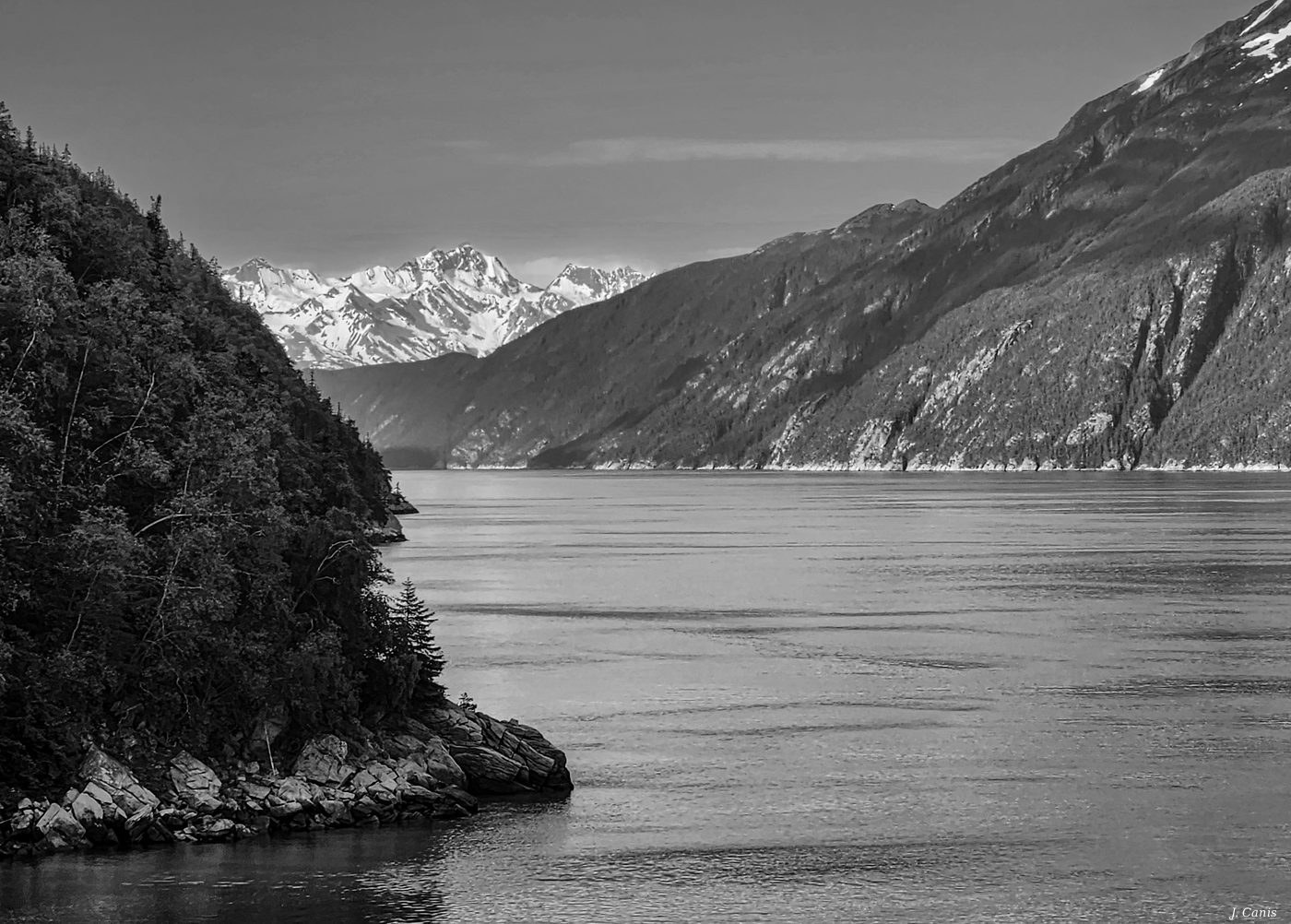 Alaska Fjord — forested slopes dropping to calm Inside Passage waters, black and white photography by Jon Canis